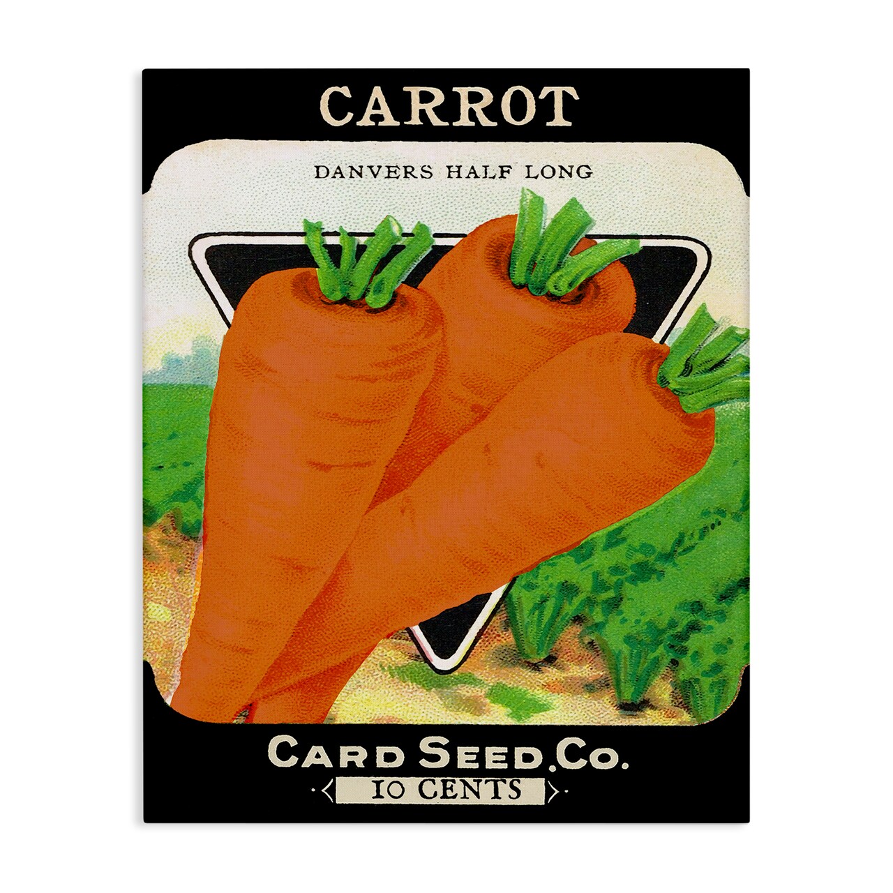 Stupell Industries Vintage Garden Carrots Canvas Design by Lil' Rue